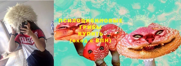 стафф Осинники