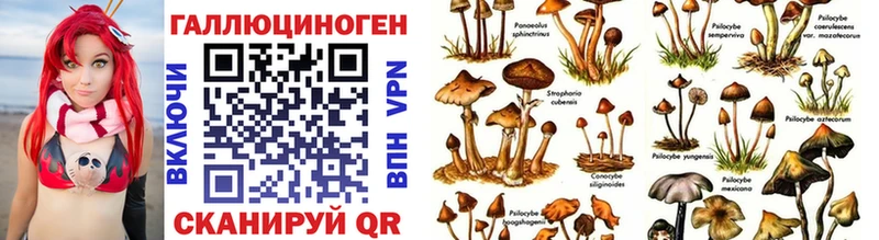 Галлюциногенные грибы GOLDEN TEACHER  Череповец 
